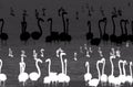 Abstract illustration of flamingo birds silhouettes against water background in black and white color.