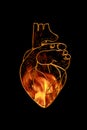 Abstract illustration, a heart burning in fire, the contour of the anatomical heart of a person Royalty Free Stock Photo