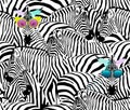 Abstract illustration herd of zebras, animal seamless pattern