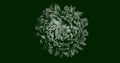 Abstract illustration of isolated Chrysanthemum flower bloom top view in white on dark green background. Suitable for wallpaper.