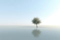 Abstract illustration minimalist landscape, alone tree in clear nature landscapeAbstract illustration minimalist landscape, Alone