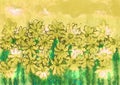 Yellow field of dasiy flowers illustration, handpainted floral image Royalty Free Stock Photo