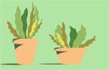 abstract illustration Planting plants in pots, Royalty Free Stock Photo