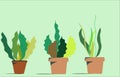 Abstract illustration Planting plants in pots, Royalty Free Stock Photo
