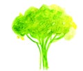 Abstract illustration of stylized green tree