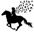 Abstract illustration of woman riding a horse and birds silhouettes Royalty Free Stock Photo