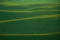 Abstract imae of green hills Royalty Free Stock Photo