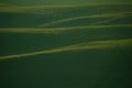 Abstract imae of green hills Royalty Free Stock Photo