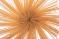 Abstract image from above of an Organic uncooked Brown Rice Spaghetti pasta arranged in a ceramic tall jar.