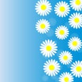 Abstract White Daisies in Blue Background Royalty Free Stock Photo