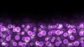 Abstract Bright Purple Light Sparkles and Bokeh in Dark Background