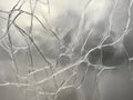 abstract image of broken glass, showing cracks and fragmentation