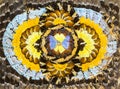 Abstract image butterfly wings / kaleidoscope Butterfly wing background Collage of butterfly wings