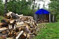 Chopped and Stacked Firewood Background Royalty Free Stock Photo