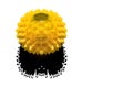 Abstract image of coronavirus. A yellow ball with spikes, the black silhouette of a skull and a shadow in the form of a bat.