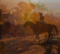 Cowboy riding on a horse IV. Royalty Free Stock Photo