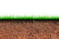 Cross section brown soil and green grass in underground. Royalty Free Stock Photo