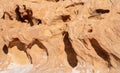 Abstract image of eroded sandstone in the desert