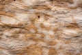 Abstract image of eroded sandstone in the desert