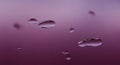 Abstract Purple Background with Floating Water Droplets Royalty Free Stock Photo