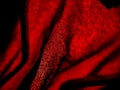 Abstract image featuring deep red textured fabric, illuminated to highlight its woven structure. Royalty Free Stock Photo