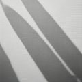 Abstract image featuring elongated shadows cast on a white textured Royalty Free Stock Photo