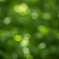 Abstract image featuring green bokeh effect, creating a blurred background with circula Royalty Free Stock Photo