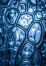 Abstract image featuring a network of interconnected, translucent bubbles with a blue tint. The Royalty Free Stock Photo