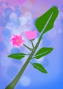 An abstract image. An abstract flower in the artistic blurry background view.