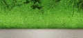 Abstract image of Green grass wall and concrete floor. Royalty Free Stock Photo