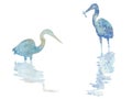 Abstract image with hand drawn herons isolated