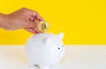 Abstract image a hand insert bitcoin  coin into piggy for investment and future saving money wealth, financial concept. A hand dro Royalty Free Stock Photo