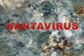 Abstract image of hantavirus with the inscription. Dangerous virus transmitted to humans from rodents