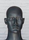 Abstract image of human face, portrait of mannequin head