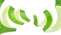 Abstract image of lime fruit zest on white background. Lime fruit peel, cocktail ingredient