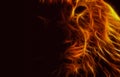 Abstract image lion flame darkness black