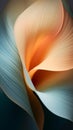 an abstract image of an orange and blue flower Royalty Free Stock Photo