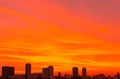 Abstract image of orange dramatic sky for background