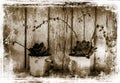 Abstract image of plants with a grunge effect. Royalty Free Stock Photo