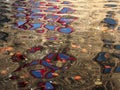 Abstract image of red windows of an old stone building reflected in the ripples of dark water with floating autumn leaves