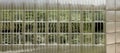 Abstract image of reflecting trees on the glass facade of an office building