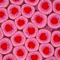 Abstract image resembling a microscopic view of cells. Each cell features a red heart- Royalty Free Stock Photo