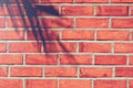 Shadow coconut leaves on red brick wall outside of building. Royalty Free Stock Photo