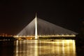 Abstract image - Suspension Bridge night lights.