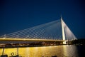 Abstract image - Suspension Bridge. night lights. Dusk Skyline