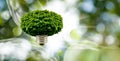 Abstract image of a tree crown and a light bulb base attached to it, forming a hybrid of a tree and a light bulb