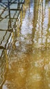 Abstract image of trees in the water. Reflection. Royalty Free Stock Photo