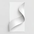 Abstract White Paper Curl on Gray Background Royalty Free Stock Photo