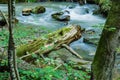 Abstract Image of Wild Mountain Trout Stream Royalty Free Stock Photo