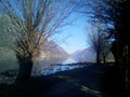 Abstract images through the trees from the Lake Idro, Italy Royalty Free Stock Photo